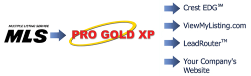 Single Entry with Pro Gold XP Real Estate Software
